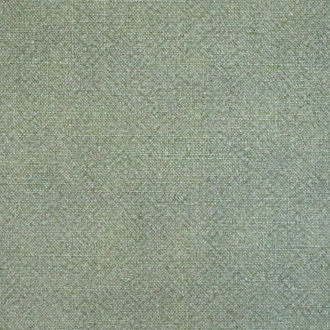 CAMELLIA-MOSS