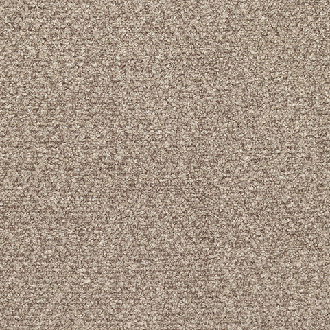 EUREKA-FOSSIL-1