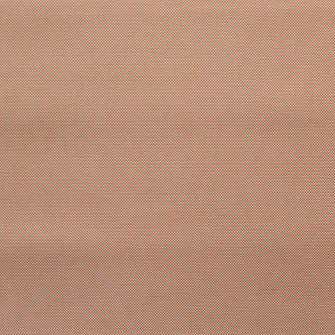 Pita-Tangerine-1