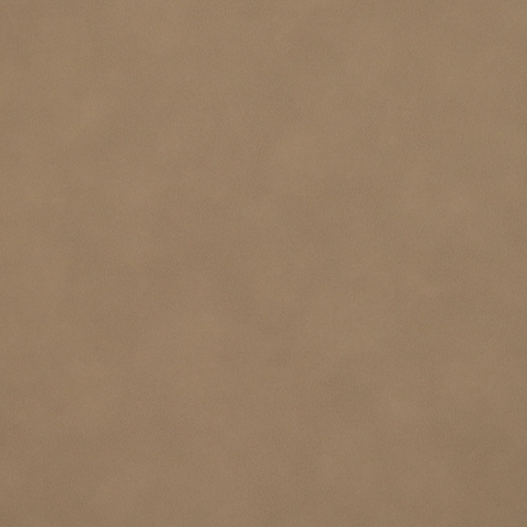 VEIN-CARAMEL-1